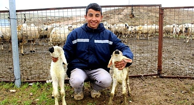 Genç Üreticiden Dikkat Çeken Başarı: Sürüsünü İki Katına Büyüttü