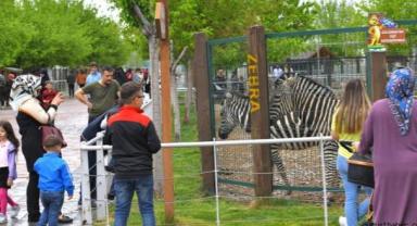 Hayvanat Bahçesi Ücretsiz Olacak