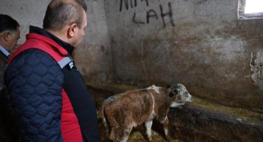 İncesu’da Yangın Sonrası İnceleme: Besiciye Destek Ziyareti