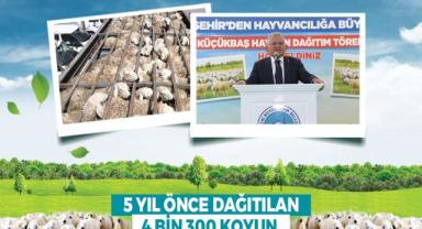 Kayseri’de Küçükbaş Sayısı 150 Bin Arttı