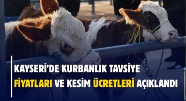 Kayseri’de Kurbanlık Tavsiye Fiyatları Ve Kesim Ücretleri Açıklandı