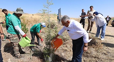 Kayseri'ye 7 Yılda 786 Bin Fidanlık Yeşil Hamle