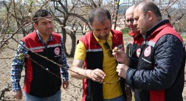 Kayseri’de Soğuk Hava Dalgası Sonrası Tarımsal Alanlarda Denetim