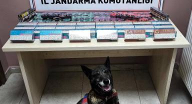 Kayseri’de Tırda Kaçak Sigara Ve Elektronik Kartuş Ele Geçirildi