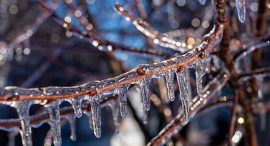 Kayseri’de Zirai Don Uyarısı: Alınması Gereken Önlemler