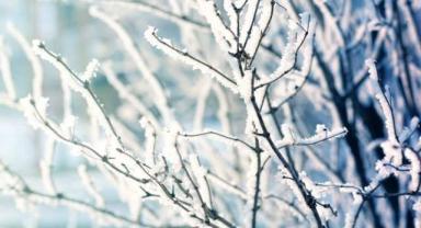 Kayseri’ye Zirai Don Uyarısı Geldi