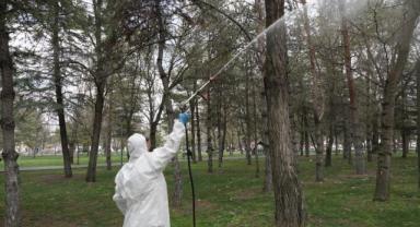 Melikgazi’de Yaz Öncesi Haşere Seferberliği