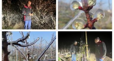 Zirai Don Kayseri’yi Etkilemedi