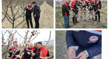 Zirai Don Sonrası Sahada Olumsuzluk Tespit Edilmedi