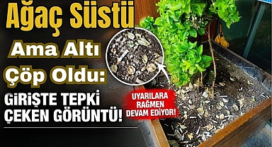 Ağaç Süstü Ama Altı Çöp Oldu: Girişte Tepki Çeken Görüntü!