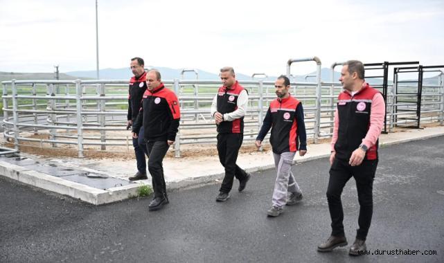 Kurbanlık Sevklerine Veteriner Kilidi: Kayseri’de Yol Denetimleri Arttı
