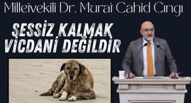 Milletvekili Dr. Murat Cahid Cıngı: Sessiz Kalmak Vicdani Değildir