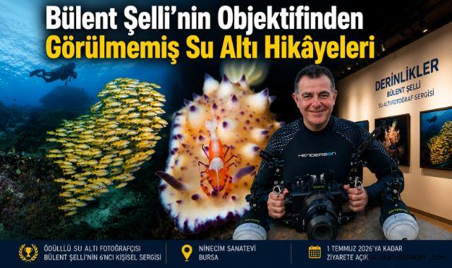 Bülent Şelli’nin Objektifinden Görülmemiş Su Altı Hikâyeleri