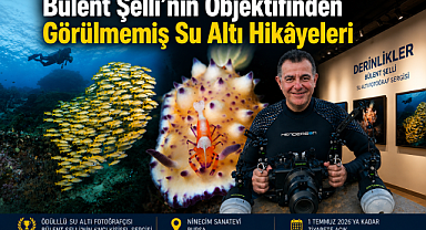 Bülent Şelli’nin Objektifinden Görülmemiş Su Altı Hikâyeleri
