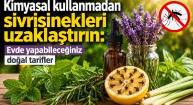 Sivrisinekleri Evden Uzak Tutmanın Doğal Yolları!