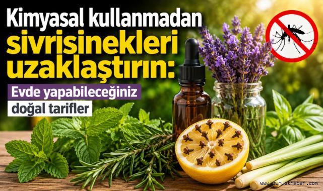 Sivrisinekleri Evden Uzak Tutmanın Doğal Yolları!