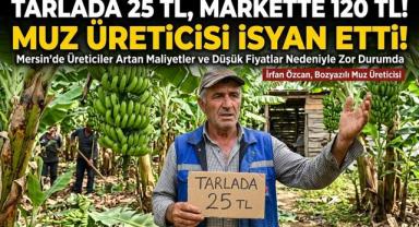 Tarlada 25 TL, Markette 120 TL! Muz Üreticisi İsyan Etti
