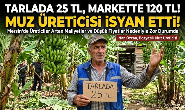 Tarlada 25 TL, Markette 120 TL! Muz Üreticisi İsyan Etti