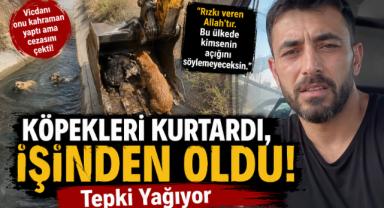 Köpekleri Kurtardı, İşinden Oldu! Tepki Yağıyor