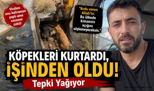 Köpekleri Kurtardı, İşinden Oldu! Tepki Yağıyor