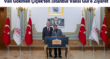 Vali Gökmen Çiçek'ten Davut Gül'e Ziyaret